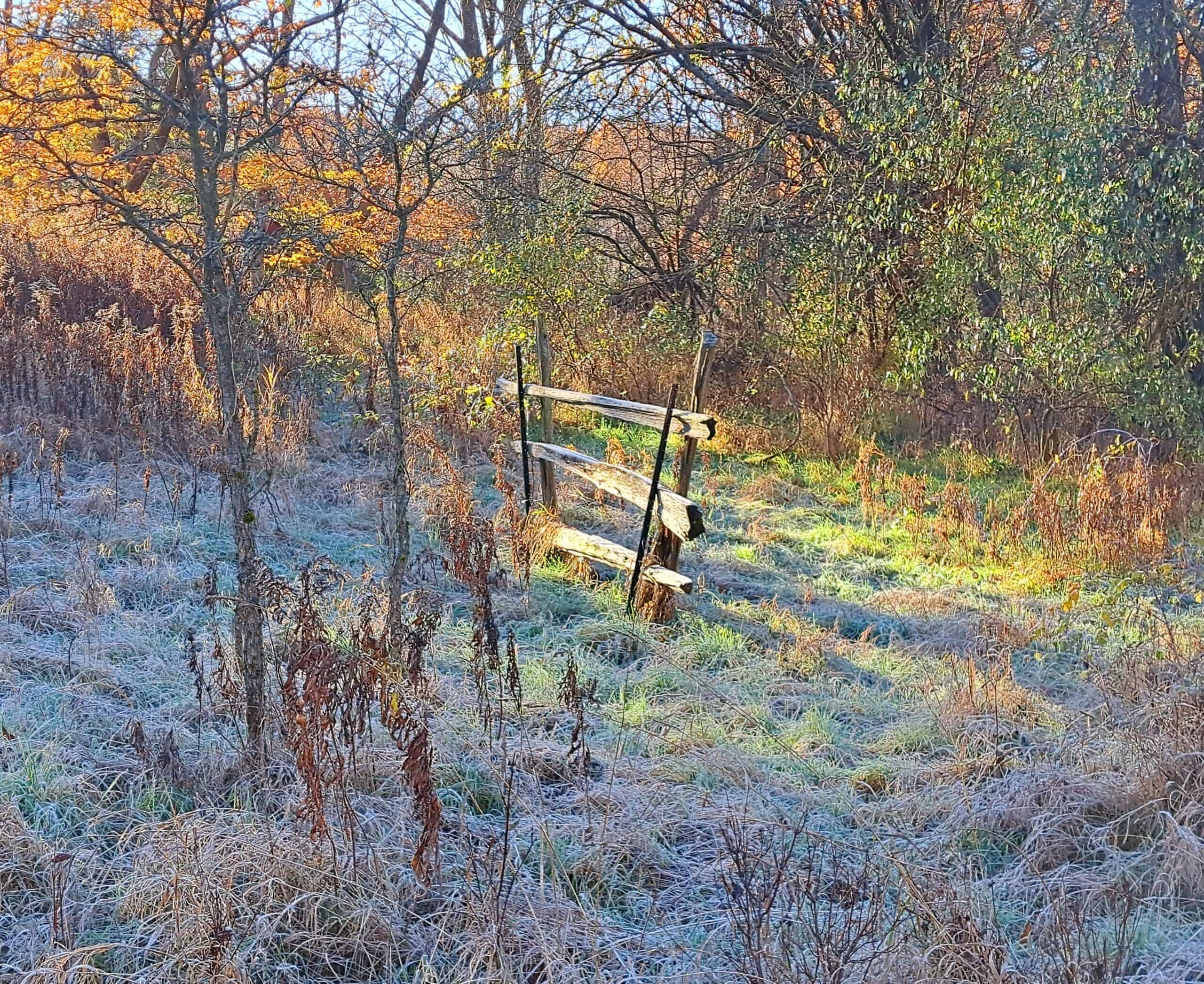 fall fence